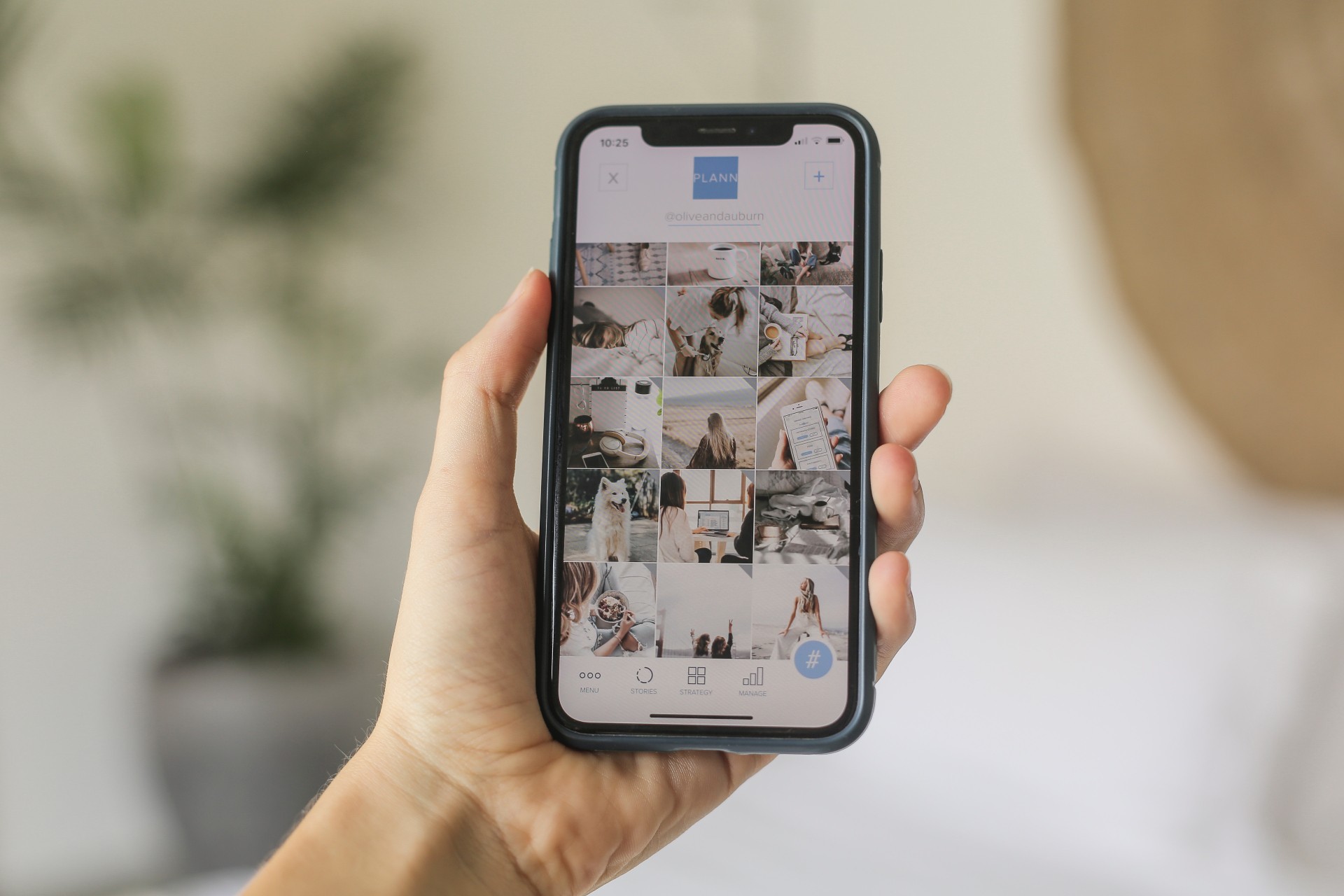 A gallery of images opened on an iPhone